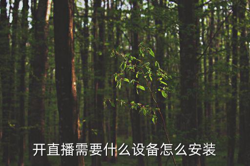 开直播需要什么设备怎么安装