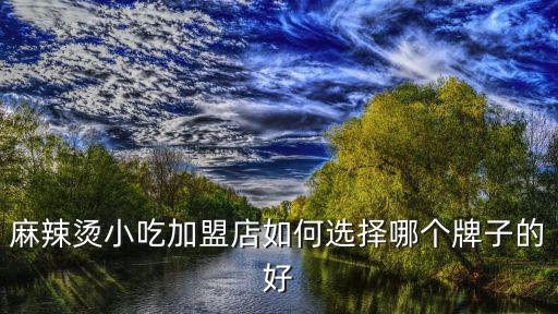 麻辣烫小吃加盟店如何选择哪个牌子的好