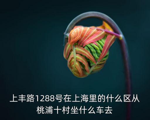上丰路1288号在上海里的什么区从桃浦十村坐什么车去