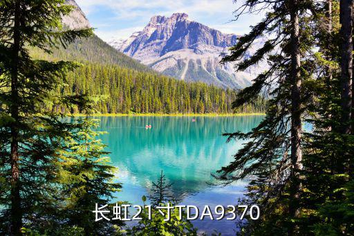 长虹21寸TDA9370