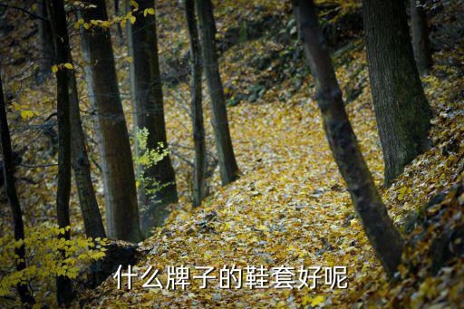 什么牌子的鞋套好呢