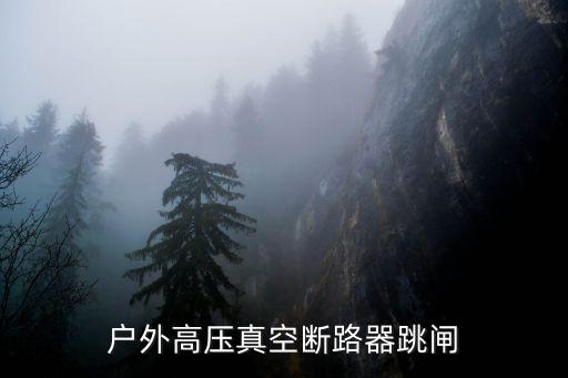 户外高压真空断路器跳闸