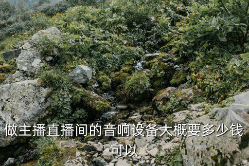 唐艺直播设备多少钱，主播需要的设备需要多少钱