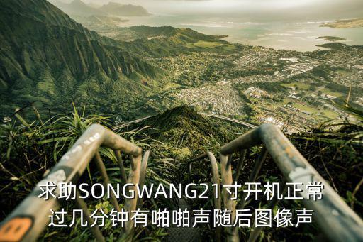 求助SONGWANG21寸开机正常过几分钟有啪啪声随后图像声