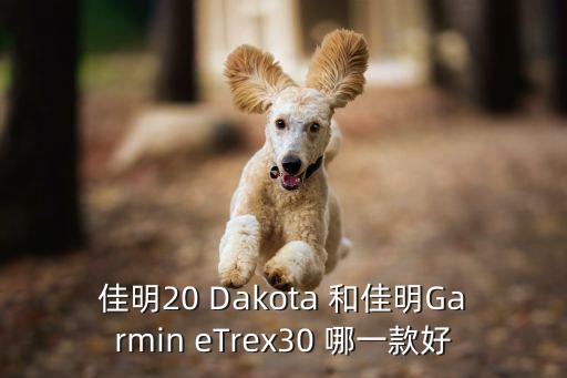 佳明哪个系列比较时尚，佳明935和fenix5选哪个