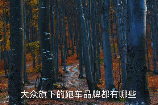 大众旗下的跑车品牌都有哪些