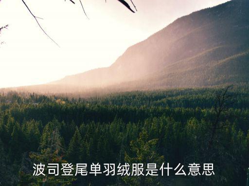 波司登尾单羽绒服是什么意思