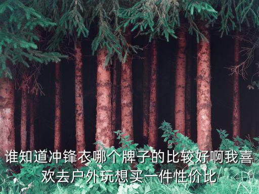 谁知道冲锋衣哪个牌子的比较好啊我喜欢去户外玩想买一件性价比