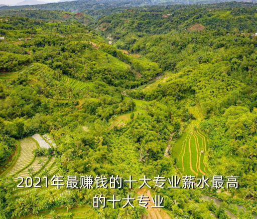 2021年最赚钱的十大专业薪水最高的十大专业