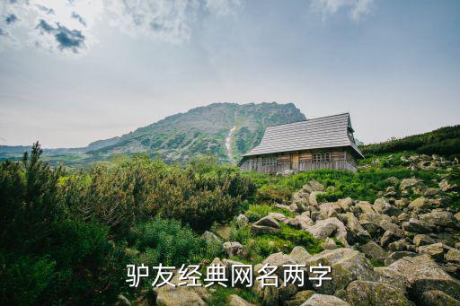 驴友好听网名，驴友经典网名两字