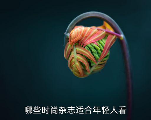 哪些时尚杂志适合年轻人看