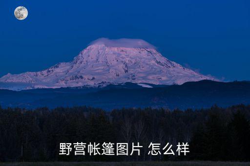 野营帐篷图片 怎么样