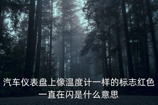 汽车仪表盘上像温度计一样的标志红色一直在闪是什么意思
