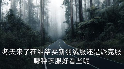 冬天来了在纠结买新羽绒服还是派克服哪种衣服好看些呢