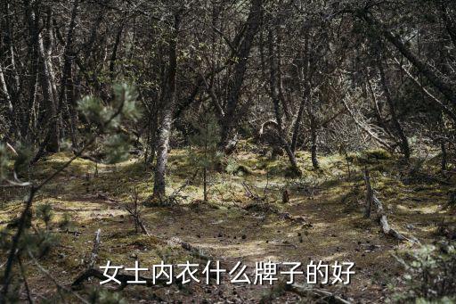 女士内衣什么牌子的好