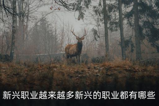 新兴职业越来越多新兴的职业都有哪些