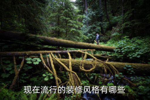 现在流行的装修风格有哪些