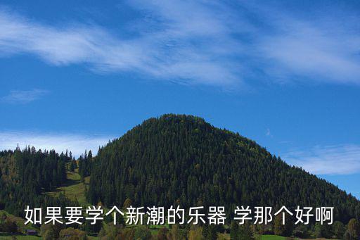 新潮时尚的乐器是哪个，年轻人玩什么管乐器时尚