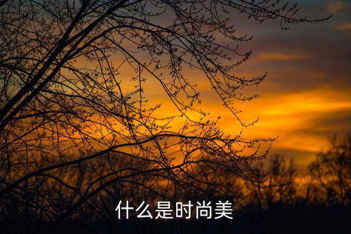 什么是时尚美