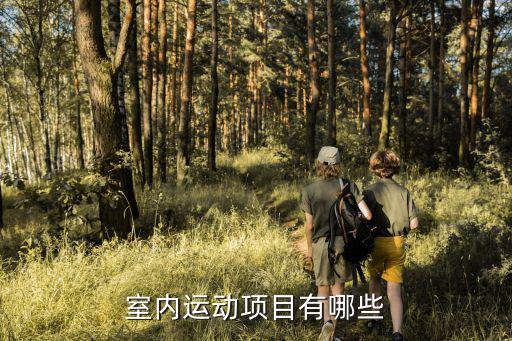 室内运动项目有哪些