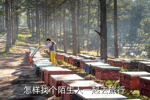 怎么找人一起去旅游，怎样找个陌生人一起去旅行