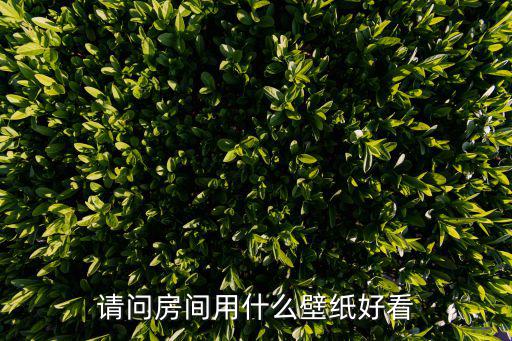 请问房间用什么壁纸好看