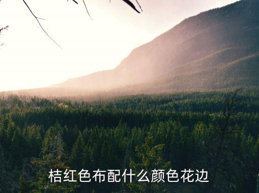 什么花边好看又时尚，桔红色布配什么颜色花边