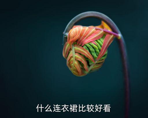 秋季连衣裙哪个好看时尚，介绍几款适合在秋季穿的甜心美裙吧
