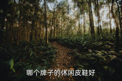 哪个牌子的休闲皮鞋好