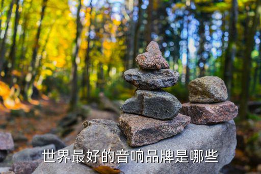 世界最好的音响品牌是哪些