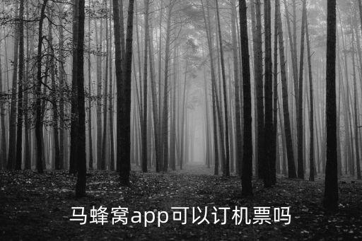 马蜂窝app可以订机票吗