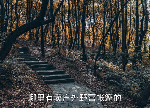 哪里有卖户外野营帐篷的