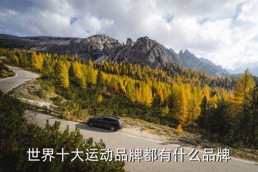 世界十大名牌运动鞋，世界十大名牌鞋是那些