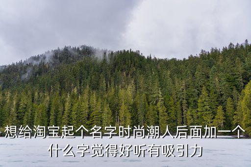 想给淘宝起个名字时尚潮人后面加一个什么字觉得好听有吸引力