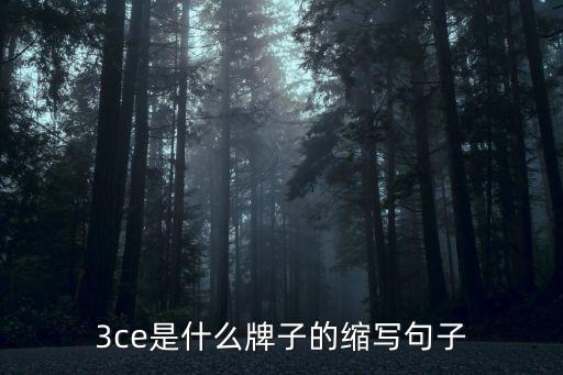 时尚之风是什么牌子，请问3ce是什么牌子
