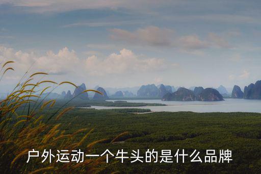 户外运动一个牛头的是什么品牌