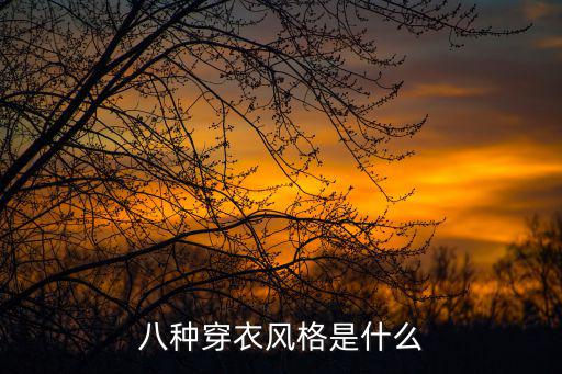八种穿衣风格是什么