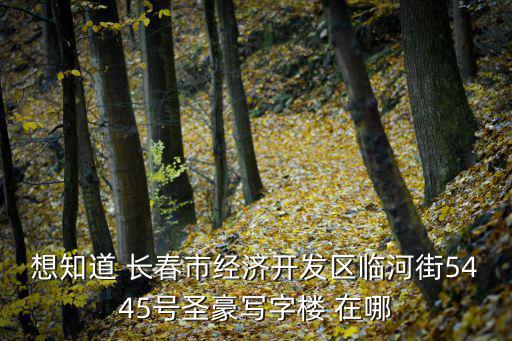 想知道 长春市经济开发区临河街5445号圣豪写字楼 在哪
