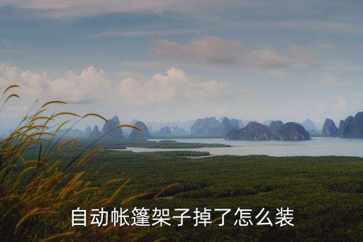 自动帐篷架子掉了怎么装