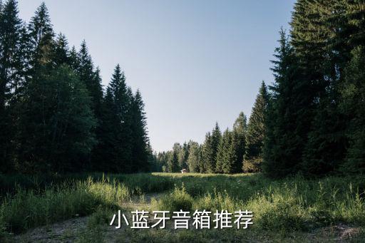 小蓝牙音箱推荐