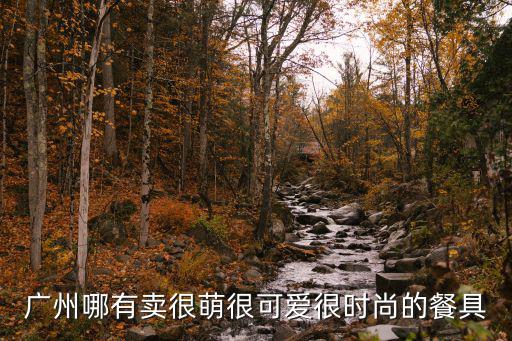 广州哪有卖很萌很可爱很时尚的餐具
