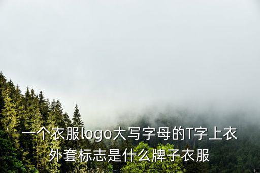 一个衣服logo大写字母的T字上衣外套标志是什么牌子衣服