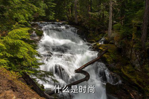什么是时尚