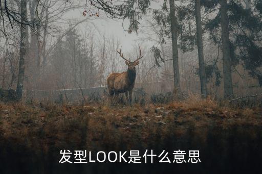 时尚look是什么，出街look是什么意思