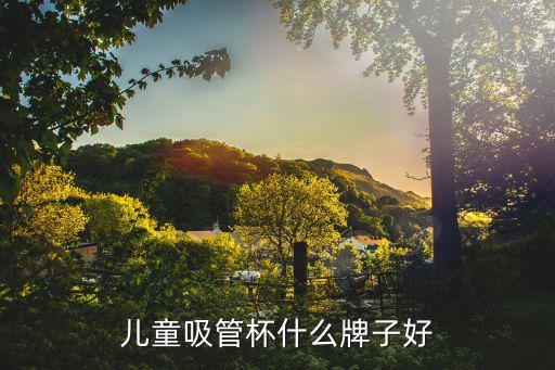 儿童吸管杯什么牌子好