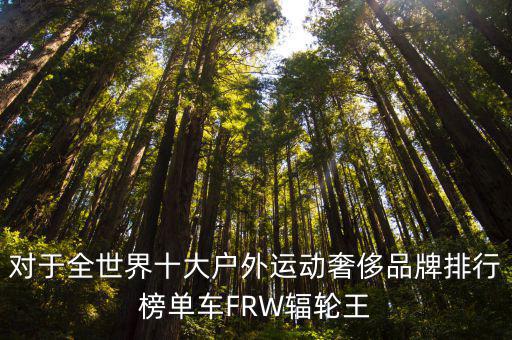 对于全世界十大户外运动奢侈品牌排行榜单车FRW辐轮王