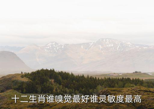 十二生肖谁嗅觉最好谁灵敏度最高