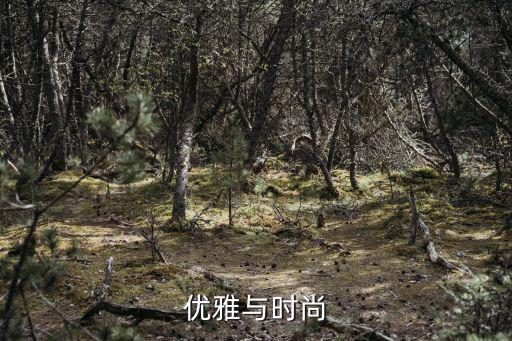 优雅与时尚