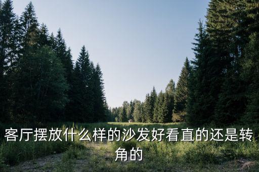 直排沙发跟转角哪个时尚，客厅摆放什么样的沙发好看直的还是转角的