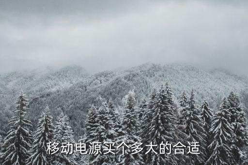 移动电源买个多大的合适